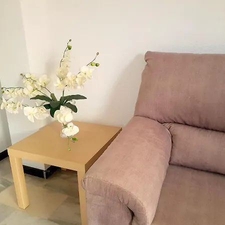 Yna Holiday Express *